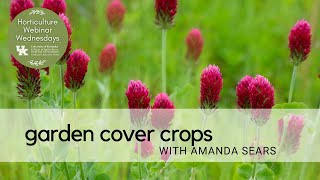 Garden Cover Crops