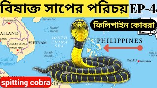 বিষাক্ত সাপের পরিচয় | Identification of Venomous Snakes | EP-4 | #Philippine cobra #ফিলিপাইনকোবরা