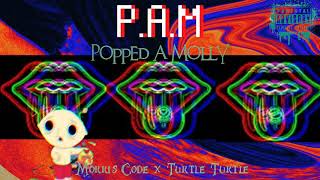 Morris Code x Turtle Turtle - P.A.M (Popped A Molly)