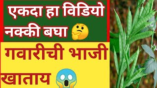 🧿गवार खाण्याचे जबरदस्तं फायदे |Gawar che fayde |Health Tips |Kitchen Tips  #guarbenefits#food