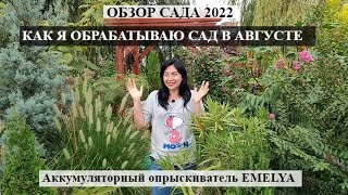 ОБЗОР САДА И ОБРАБОТКА сада  В АВГУСТЕ | Аккумуляторный опрыскиватель EMELYA ЦВЕТУЩИЙ ГЕПТАКОДИУМ