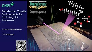 TerraForms: Tunable Environments for Exploring Soil Processes | Integrated Chemical Imaging Workshop