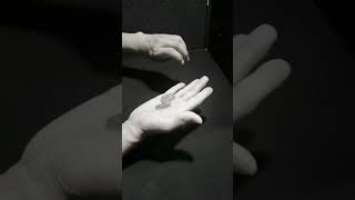 Coin Magic production - First routine (re-work)  #magichands #cointricks