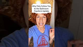 Why Pets Follow You to the Bathroom: Psychic’s Update #funnydogs #dog #shorts