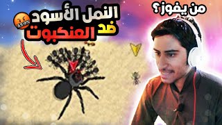 محاكي النمل-2#| كونت جيش وحاربت العنكبوت😠| بوكت انتس- Pocket ants