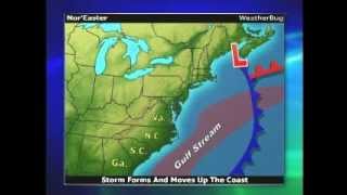 Nor'easters 101