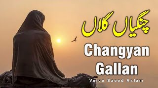 Poetry Changyan Gallan By Saeed Aslam Whatsapp Status