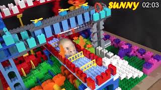 Hamster A MAZE ING LEGO Obstacle Course