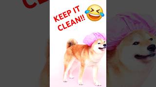 Clean 🤣 #subscribe #viral #shorts #music #song #love