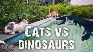 CATS VS DINOSAURS