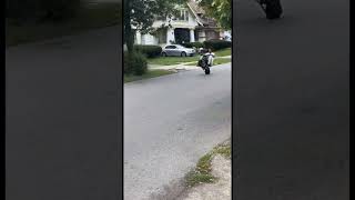 Predator 212 ghost racing engine 🤦‍♂️🐄 *wheelie fail*