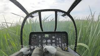 Bronco surprised by changing winds