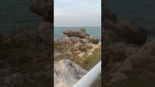 Deburan Ombak Penenang Hati di Pantai Tanjung Kodok Beach Resort Lamongan #shorts