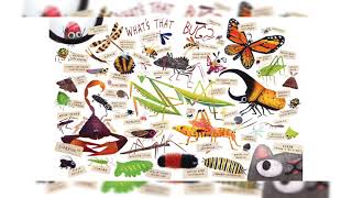 Some bugs book by Angela Diterlizzi || Readaloud story book || Pre-k storybooks ||2-5 year old books