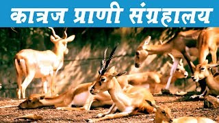 Katraj Zoo Pune - कात्रज प्राणी संग्रहालय पुणे | भाग २