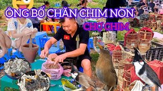 CHỢ CHIM NÀY LẠ LẮM GẶP ÔNG ANH CHĂM 5 TỔ CHIM NON NHƯ MẸ CHIM VẬY