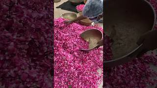 Famous golden rose gulkhand kaise Banta hai factory me #making #shorts #shortvideo