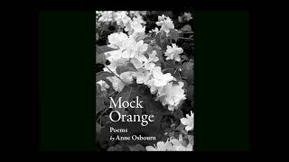 Mock Orange podcast