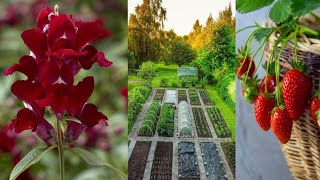 7 crops you'd be insane not plant in May