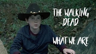 The Walking Dead || What We Are