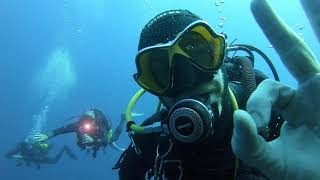 Underwater world and scuba diving at Capo Sant'Andrea, Elba, Tuscany