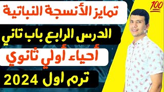 تمايز الأنسجة النباتية - احياء اولي ثانوي الترم الاول 2024- الدرس الرابع باب تاني