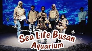 SEA LIFE BUSAN AQUARIUM // 13 APRIL 2024