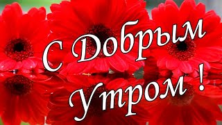 С ДОБРЫМ УТРОМ !🌼Желаю Самого Доброго Солнечного Утра!🌼  Шикарная Музыкальная открытка 🌼