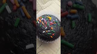 Choco Cupcake w/sprinkles!