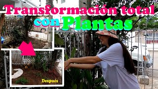 Diseño e instalación de jardín de sombra paso a paso| DIY jardinería