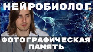 МИНИ-ЛЕКЦИЯ: ПАМЯТЬ НАСЕКОМЫХ; ОДНОКЛЕТОЧНЫХ и людей с АМНЕЗИЕЙ (ЖЁСТКАЯ)