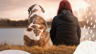 Animaux défunts, quand ils viennnent nous parler