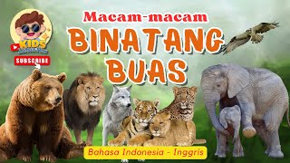 Mengenal Binatang Buas | Video Pembelajaran Kids Zaman Now Indonesia Inggris