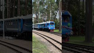 🚝3 железнодорожных месяца в одном видео