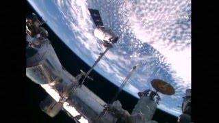 SpaceX cargo ship docks on International Space Station