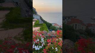 Breathtaking Views Sorrento, Italy 🇮🇹#4kwalk #sorrento #italy #amalficoast