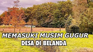 SUASANA PEDESAAN DI BELANDA SAAT MUSIM GUGUR BIKIN BETAH DAN ADEM