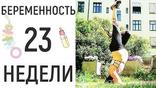 23 неделя беременности Смотрю игрушки для детей до года ноль плюс