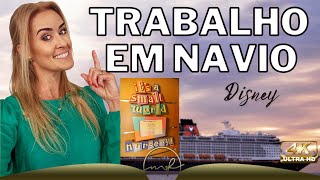 COMO TRABALHAR EM NAVIO DISNEY! Vaga aberta para Nursery Counselor.