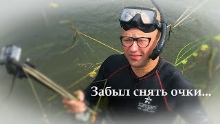 Косой или веган на подводной охоте. 15 рыб-счастливчиков, которые родились в чешуе. Spearfishing