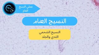 النسيج الشحمي