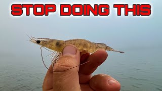 STOP Making These LIVE BAIT Mistakes!!