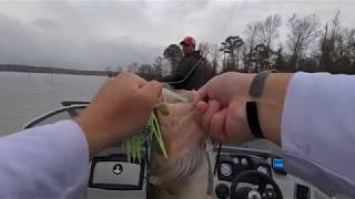 Toledo Bend Bass Spawn (Big Bass)! #toledobend #subscribe