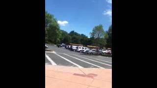 School Bus conga line