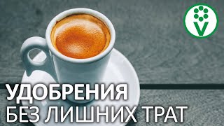 КАЖДЫЙ ДЕНЬ ВЫ ВЫБРАСЫВАЕТЕ ЦЕННЫЕ ОРГАНИЧЕСКИЕ УДОБРЕНИЯ! Полезная добавка к грунту для рассады