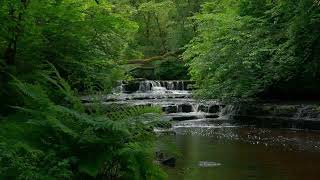 relaxing water sound for relaxing sleep 💤😴🎧#naturesounds #nature #waterflowsound #water