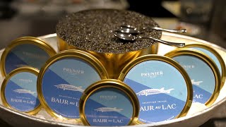 Reinvention of an Icon | A caviar tin marks the beginning