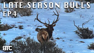 TIME TO RESTART | LATE SEASON SCOUTING | BTC