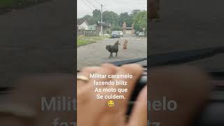 caramelos do Brasil #shorts #comedy #video #caramelos