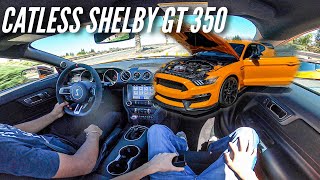 He BOUGHT The RAREST SHELBY GT 350 R In THE COUNTRY